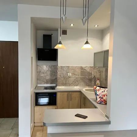 Wygodny 33m2 アパート